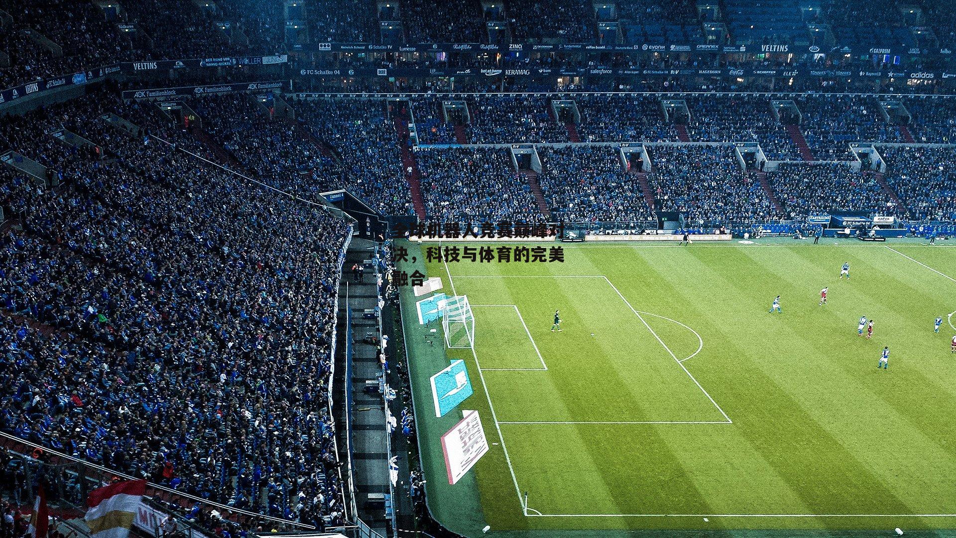 杏彩体育app-全球机器人竞赛巅峰对决，科技与体育的完美融合