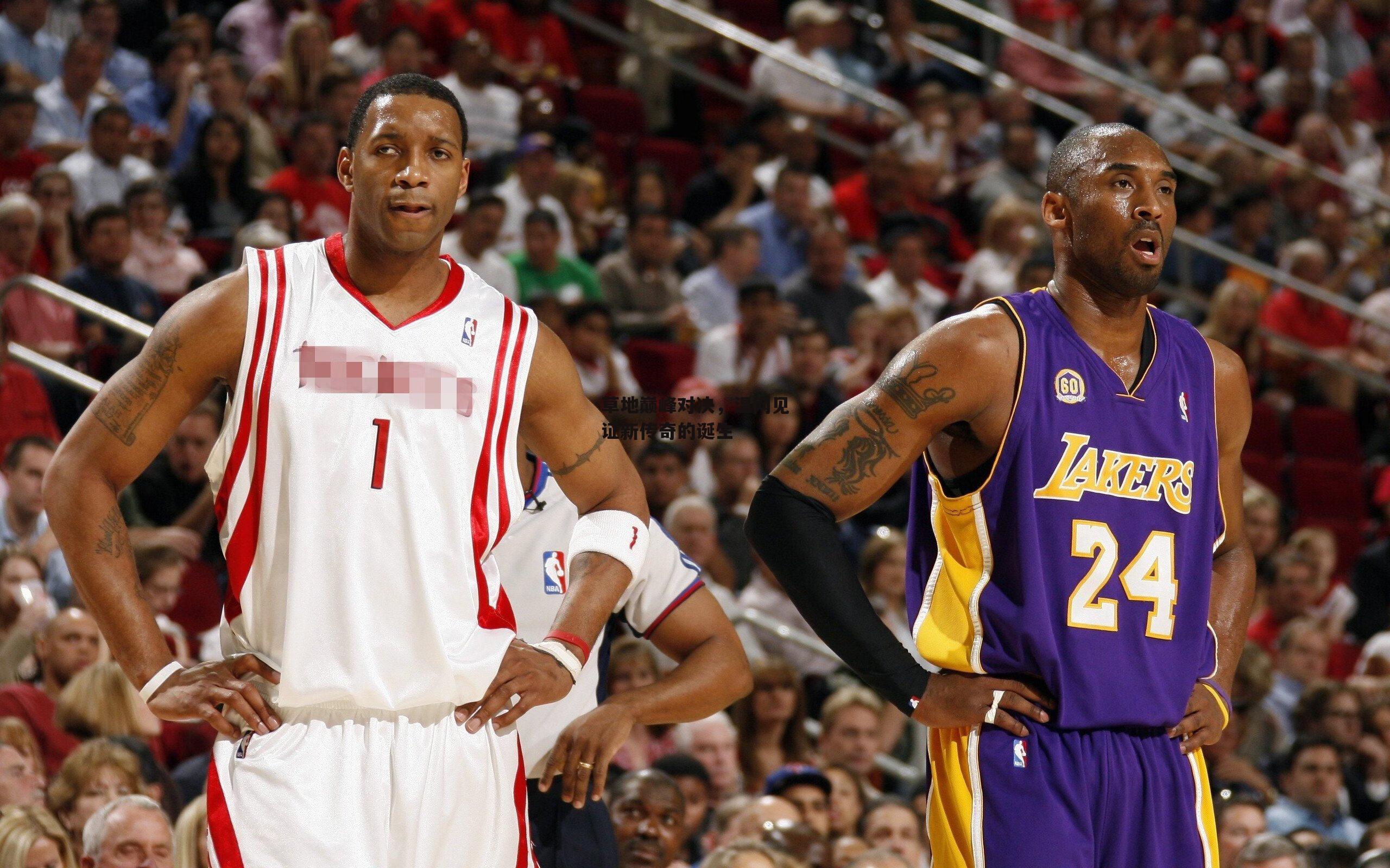 草地巅峰对决<a href=